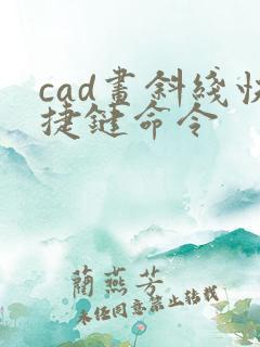 cad画斜线快捷键命令