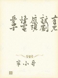 爱情应该有的样子电视剧免费观看全集