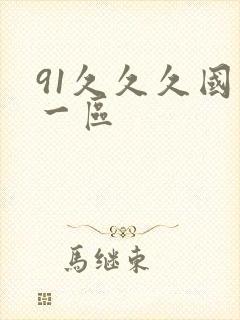 91久久久国产一区