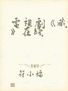 电视剧《藏海传》在线