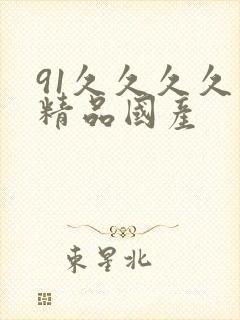 91久久久久久精品国产