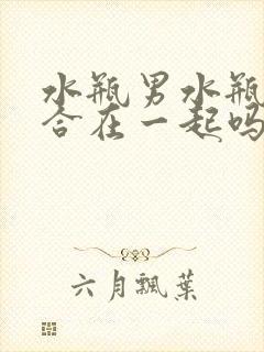 水瓶男水瓶女适合在一起吗