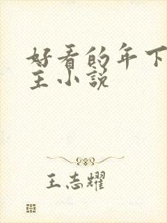 好看的年下双男主小说