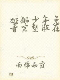 雄狮少年免费观看完整版在线播放