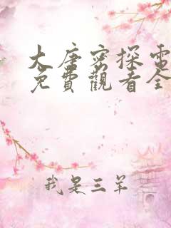 大唐密探电视剧免费观看全集高清