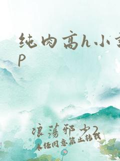 纯肉高h小说np