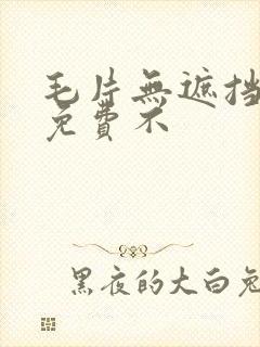 毛片无遮挡高清免费不