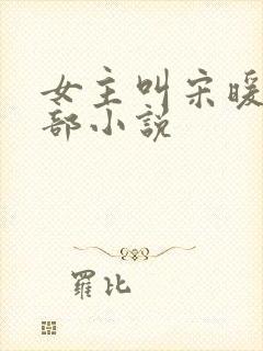 女主叫宋暖的全部小说