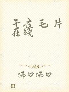 午夜 毛 片 在线