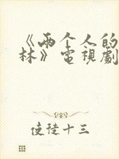 《两个人的小森林》电视剧免费