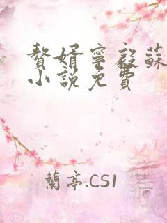 赘婿宁毅苏檀儿小说免费