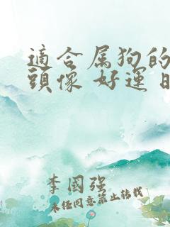 适合属狗的微信头像 好运 旺财