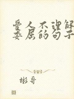 爱人不理解心里委屈的句子