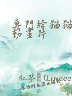 专门给猫猫看的动画片