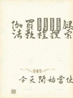 伽罗ちゃんが腿法教程搜索