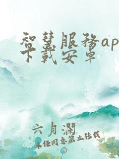 智慧服务app下载安卓