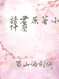 请君原著小说叫什么