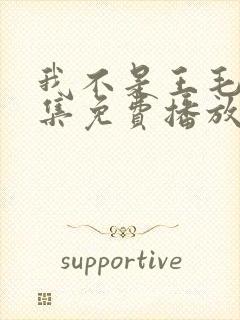 我不是王毛40集免费播放在线观看