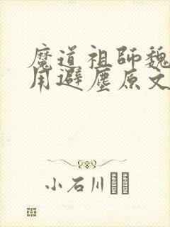 魔道祖师魏无羡用避尘原文