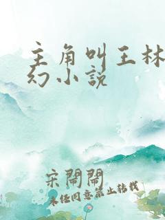 主角叫王林的玄幻小说