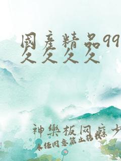 国产精品99久久久久久