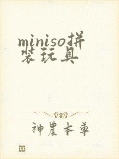miniso拼装玩具