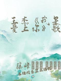 王杰《我是真的爱上你》歌词