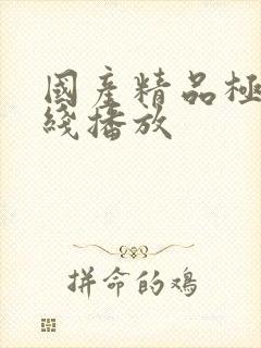 国产精品极品在线播放