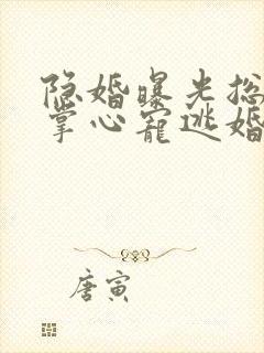 隐婚曝光总裁的掌心宠逃婚了贺聿舟小说