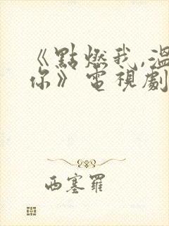 《点燃我,温暖你》电视剧免费观看