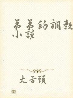 弟弟的调教日常小说