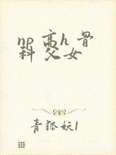 np 高h 骨科 父女