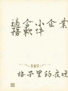 适合小企业的财务软件