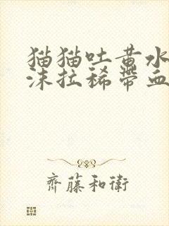 猫猫吐黄水带泡沫拉稀带血