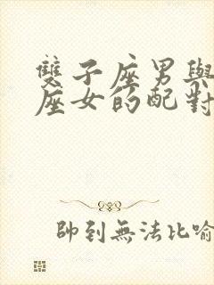 双子座男与水瓶座女的配对指数