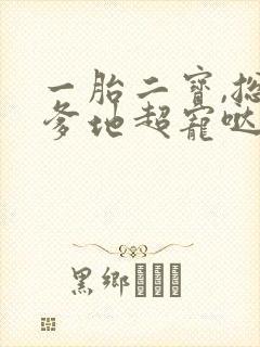 一胎二宝,总裁爹地超宠哒 小说