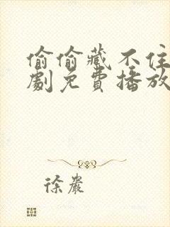 偷偷藏不住电视剧免费播放在线高清