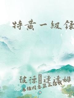 特黄一级录像片