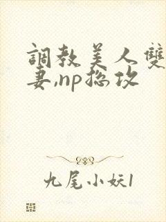 调教美人双性男妻,np总攻