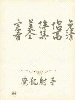 完美伴侣免费观看全集高清版电视剧