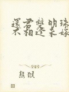 还君双明珠,恨不相逢未嫁时