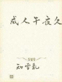 成人午夜久久片