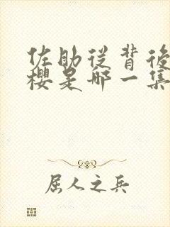 佐助从背后抱小樱是哪一集