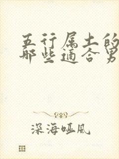 五行属土的字有哪些适合男孩