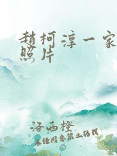 赵柯淳一家三口照片