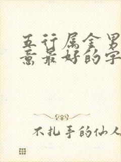 五行属金男孩寓意最好的字