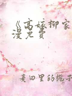 《高嫁柳家》动漫免费