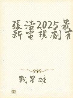 张浩2025最新电视剧有哪些