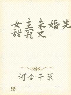 女主未婚先孕的甜宠文