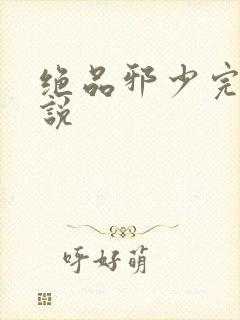 绝品邪少完整小说